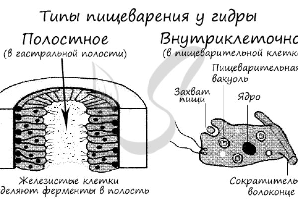 Кракен даркнет маркет плейс