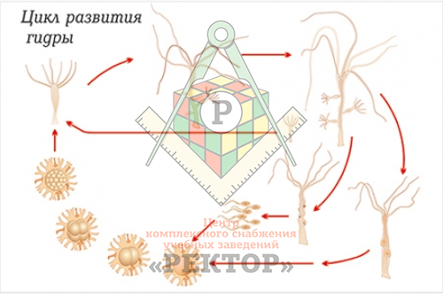 Кракен даркнет только через стор